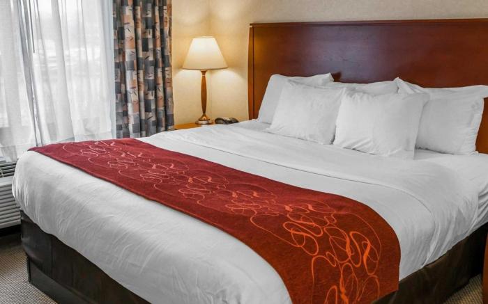 Comfort Suites Elkhart South