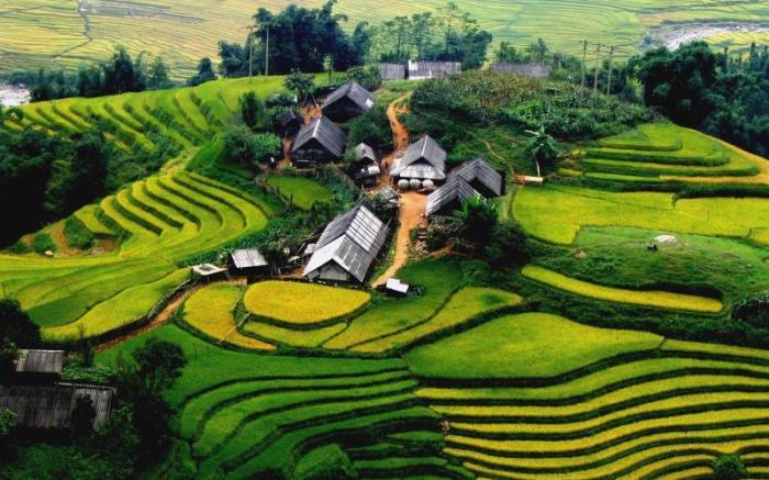 Hanoi House Hostel & Travel