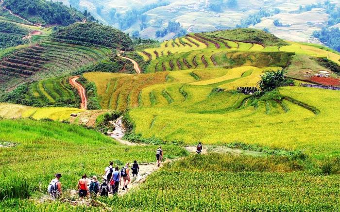 Anise Sapa Hotel