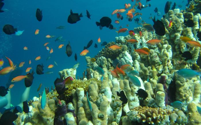 Manta Dive Gili Trawangan Hotel