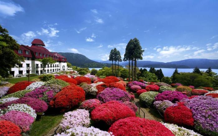 Odakyu Hotel de Yama Hakone Lake Side