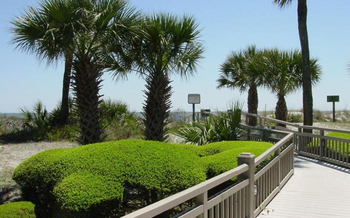 Omni Hilton Head Oceanfront Resort