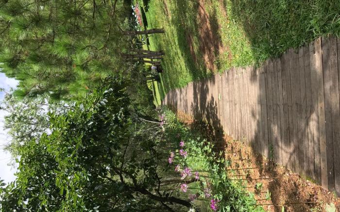 Secret Garden Villa Dalat