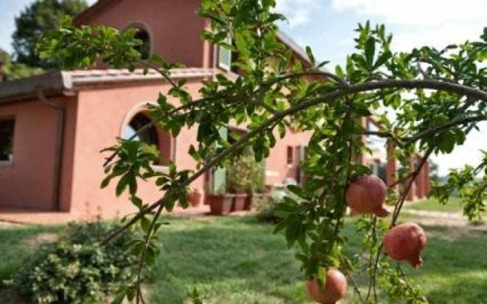 Podere Chiaromonte
