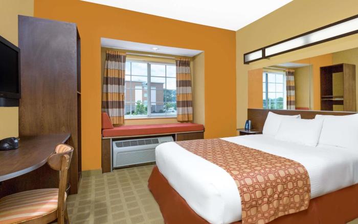 Microtel Inn & Suites by Wyndham Greenville/University Med