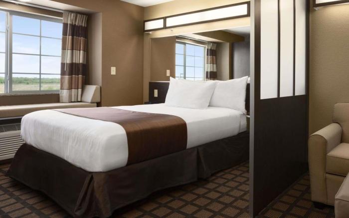 Microtel Inn & Suites by Wyndham Pleasanton