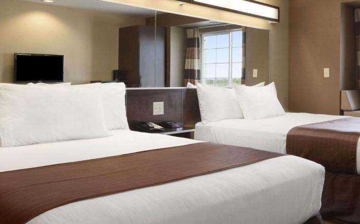 Microtel Inn & Suites by Wyndham Pleasanton