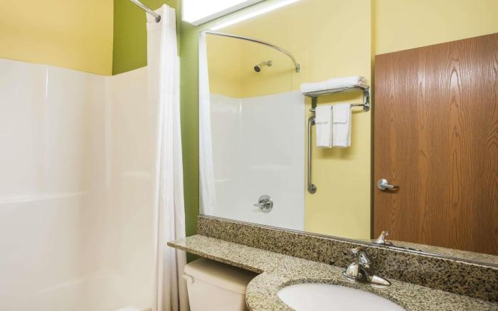 Microtel Inn & Suites by Wyndham Opelika