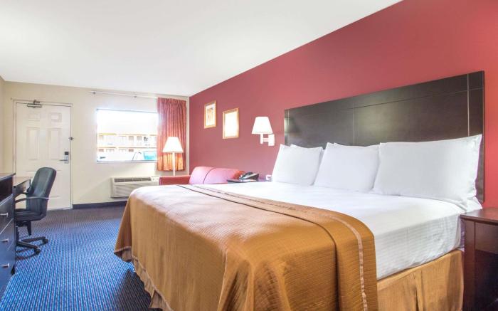 Hotel South Tampa & Suites