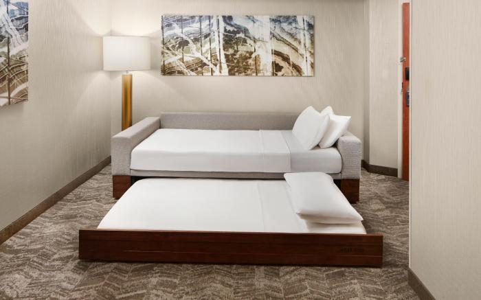 SpringHill Suites Virginia Beach Oceanfront
