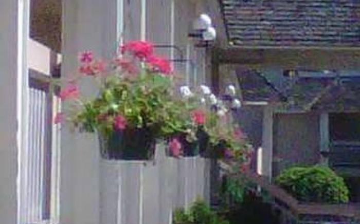 Caravelle Inn & Suites