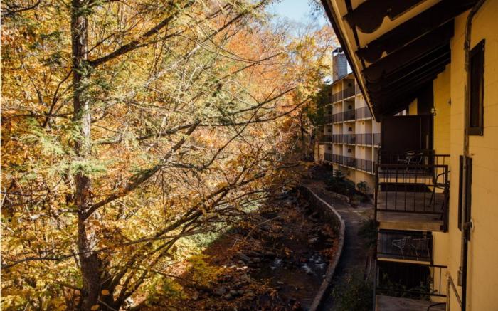 Brookside Lodge