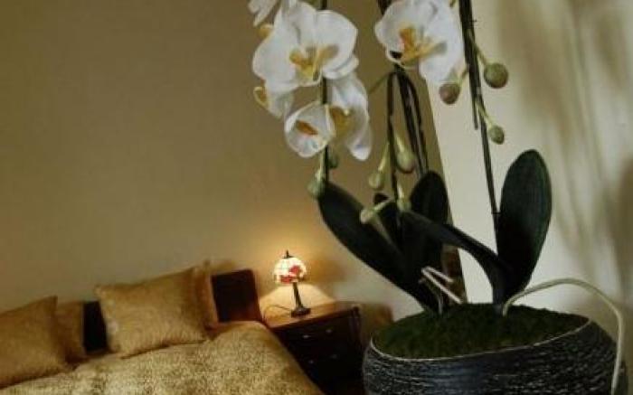 Krakow For You Budget Apartments