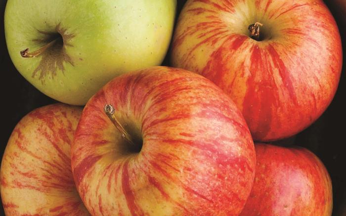 La Quinta Inn & Suites by Wyndham Springfield Airport Plaza