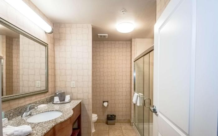 Hampton Inn Montgomery-South-Airport