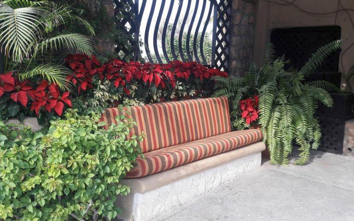 Cabo Vista Hotel - Adults Only