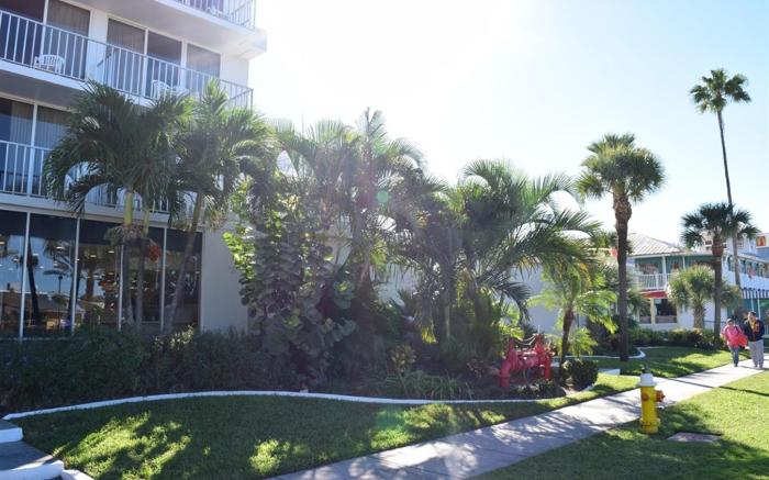 The Beachview Inn Clearwater Beach