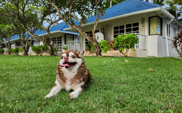 Bandara On Sea Rayong