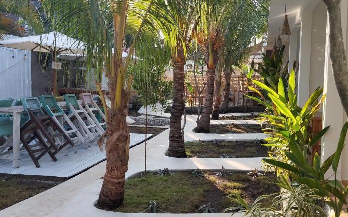 Palm Trees Villas