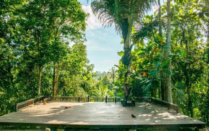 Bali Palms