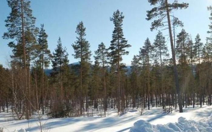 Salens Vandrarhem i Grasheden