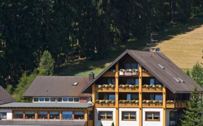 Auerhahn Bed and Breakfast - Black Forest - Waldhotel