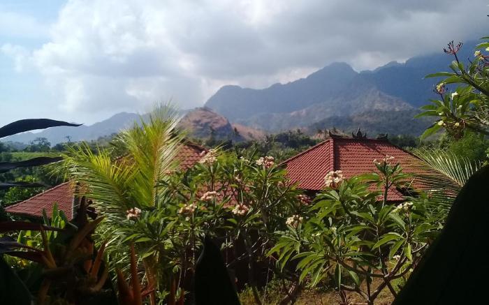 Eliska Sari Bungalow Sumberkima