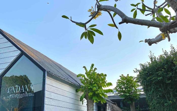 The Jungle Hostel Canggu
