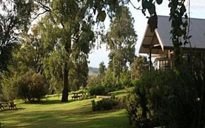 Elfin Hill Vineyard Accommodation