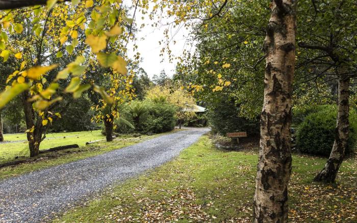 Cradle Forest Inn