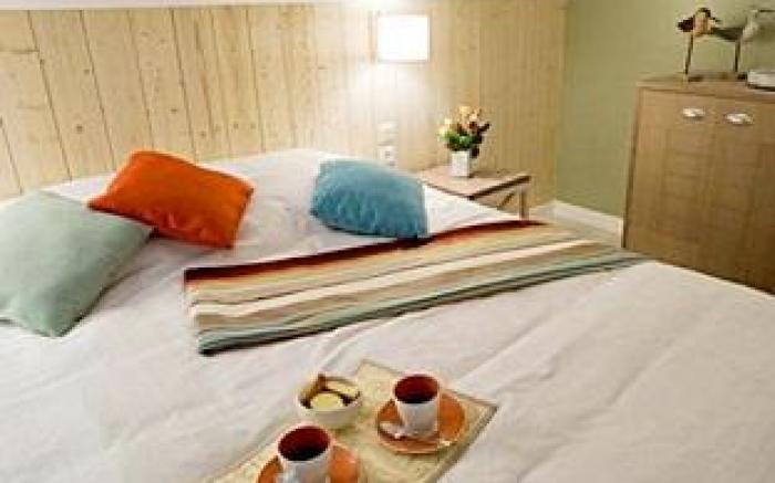 Residence Pierre & Vacances Le Domaine du Bois de la Gree