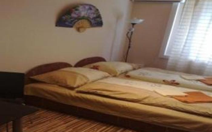 Budapest Center House