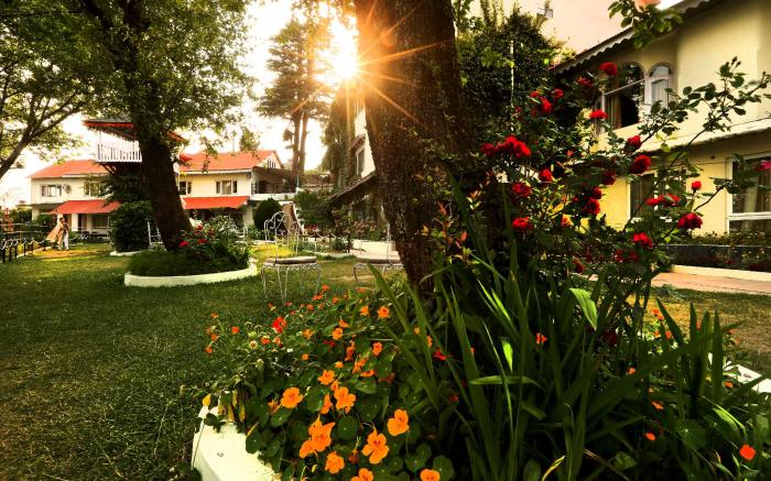 Alps Resort Dalhousie
