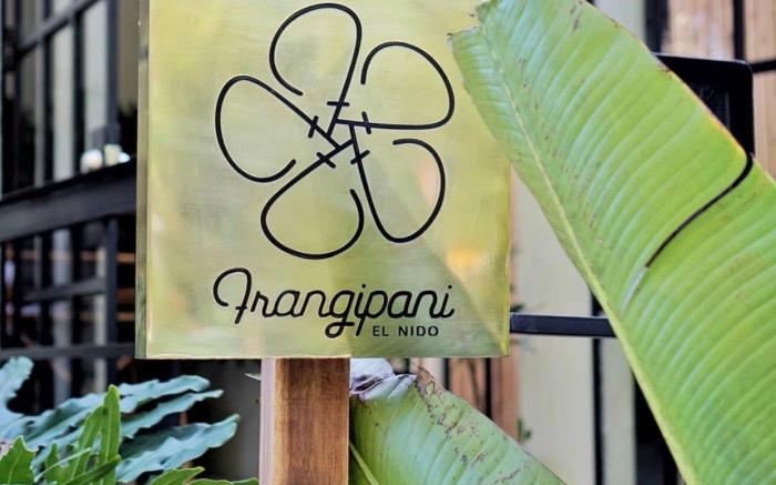 Frangipani El Nido