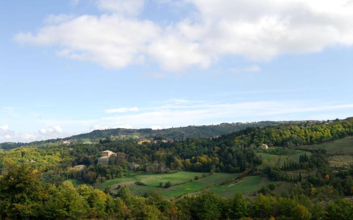 A stay surrounded by greenery - Agriturismo La Piaggia -