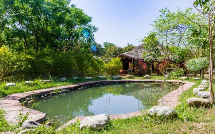 Camp Hornbill Corbett