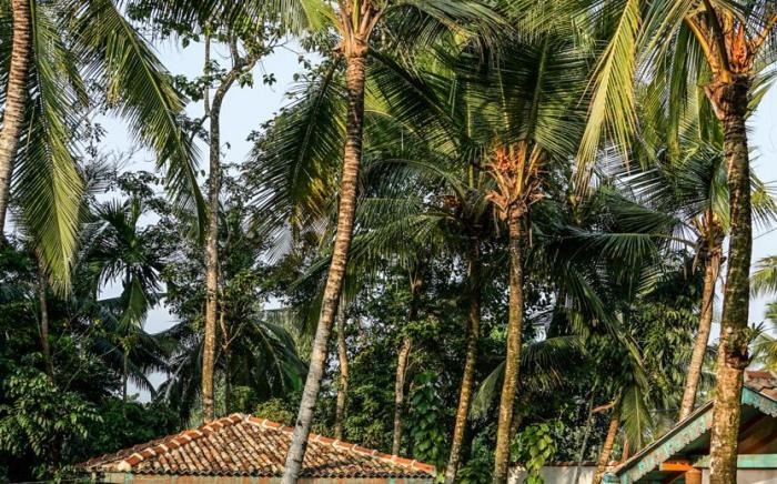 VillaMyWayYogaRetreat