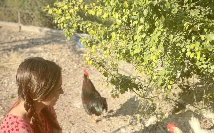 Alacati Barbarossa Hotel