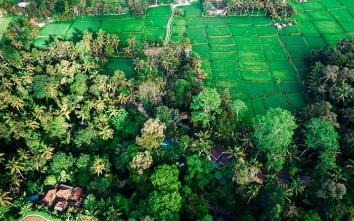 Pramana Giri Kusuma
