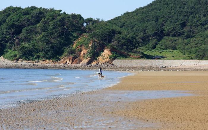Anmyeondo Chingunae Pension