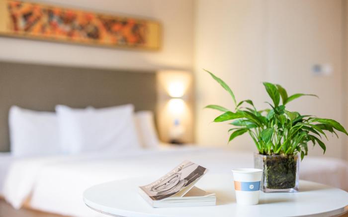Hanting Hotel Zhoukou Taihao Road
