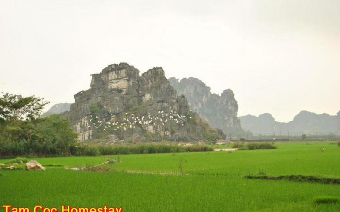 Thanh Dat Homestay