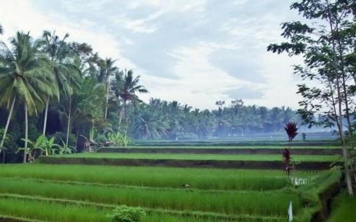 Villa Junjungan Resort Pool & Spa