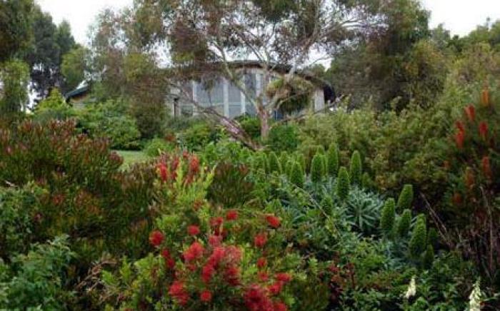 Great Ocean Road Accommodation at The Boomerangs