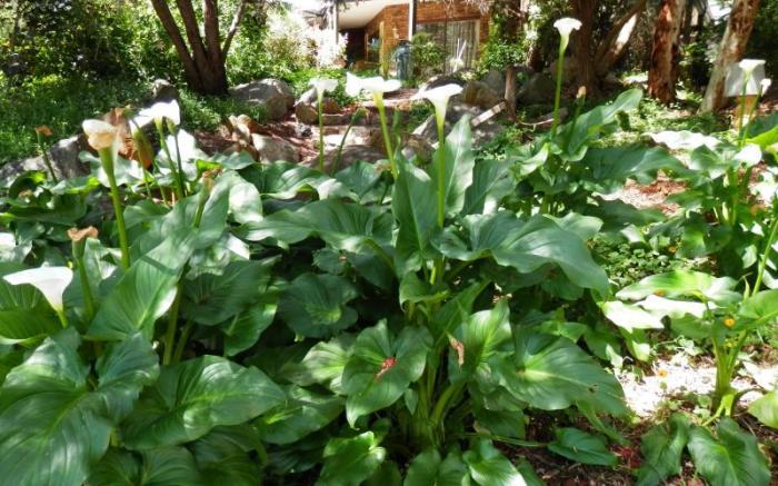 The Hideaway B&B Retreat