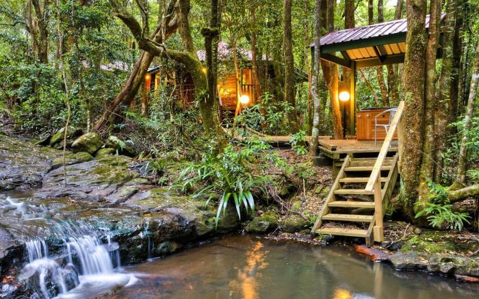 The Mouses House Rainforest Retreat