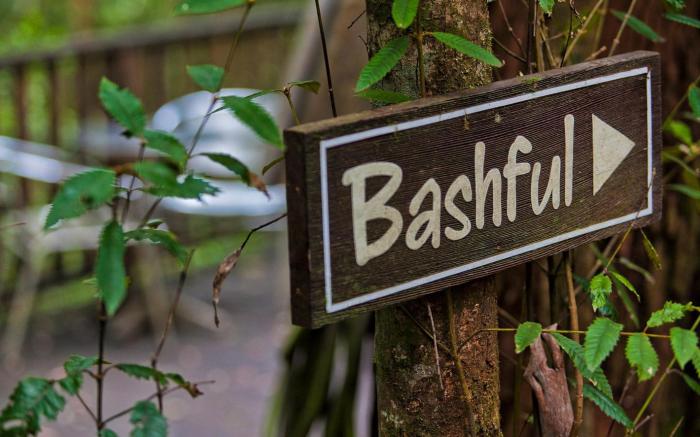 The Mouses House Rainforest Retreat