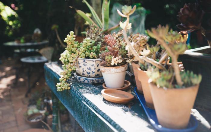 Strathbourne Accommodation - Hamilton House