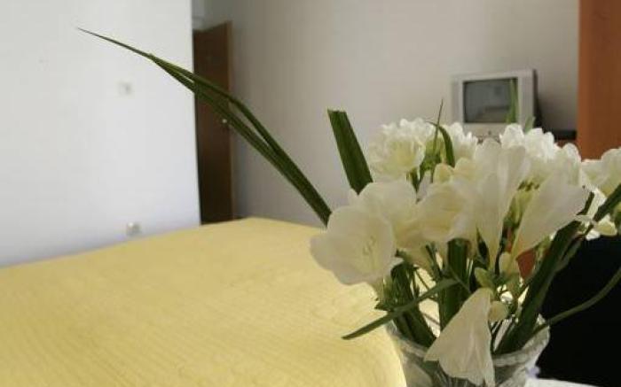 Damira Rooms
