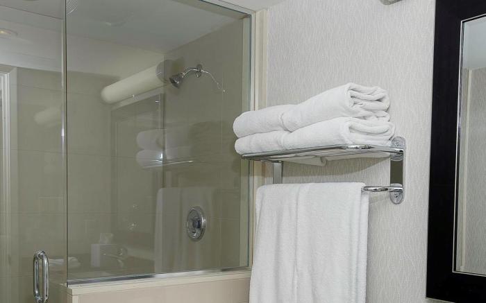 Embassy Suites by Hilton Niagara Falls Fallsview